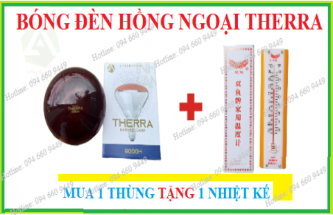 Mua bóng đèn TẶNG nhiệt kế môi trường