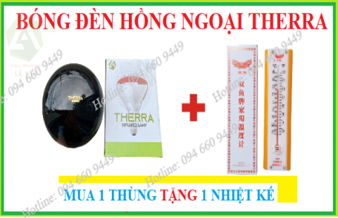 Mua 1T bóng đèn TẶNG 1 nhiệt kế