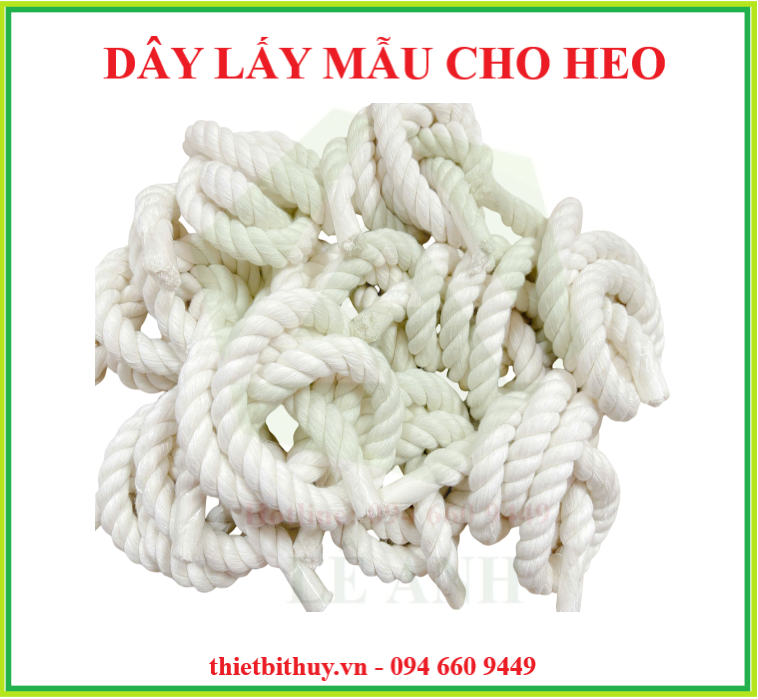 Dây nhai lấy mẫu nước bọt - Dây lấy mẫu cho heo