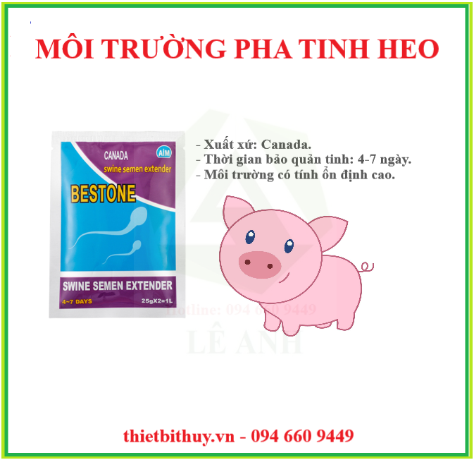 Môi trường pha tinh heo BESTONE - Dây phối tinh heo - thietbithuy.vn