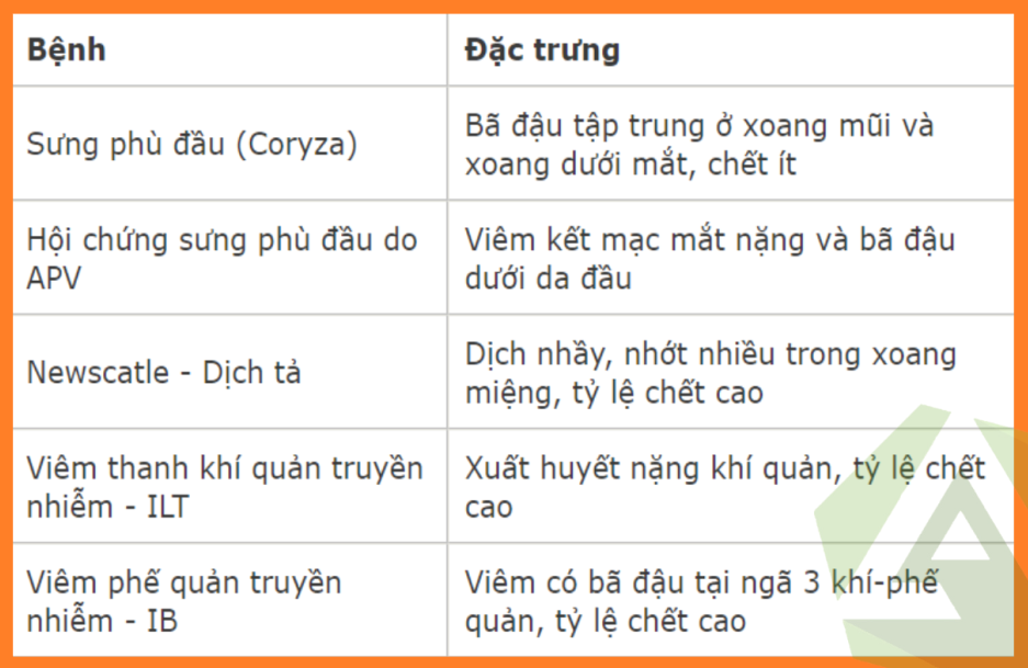 CHẨN ĐOÁN BỆNH SƯNG PHÙ ĐẦU GÀ