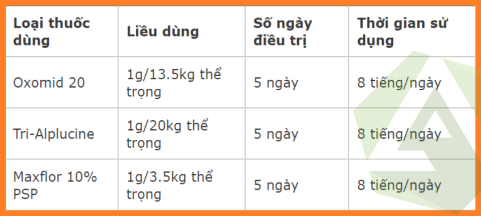 CÁCH ĐIỀU TRỊ BỆNH SƯNG PHÙ ĐẦU GÀ - THIETBITHUY.VN