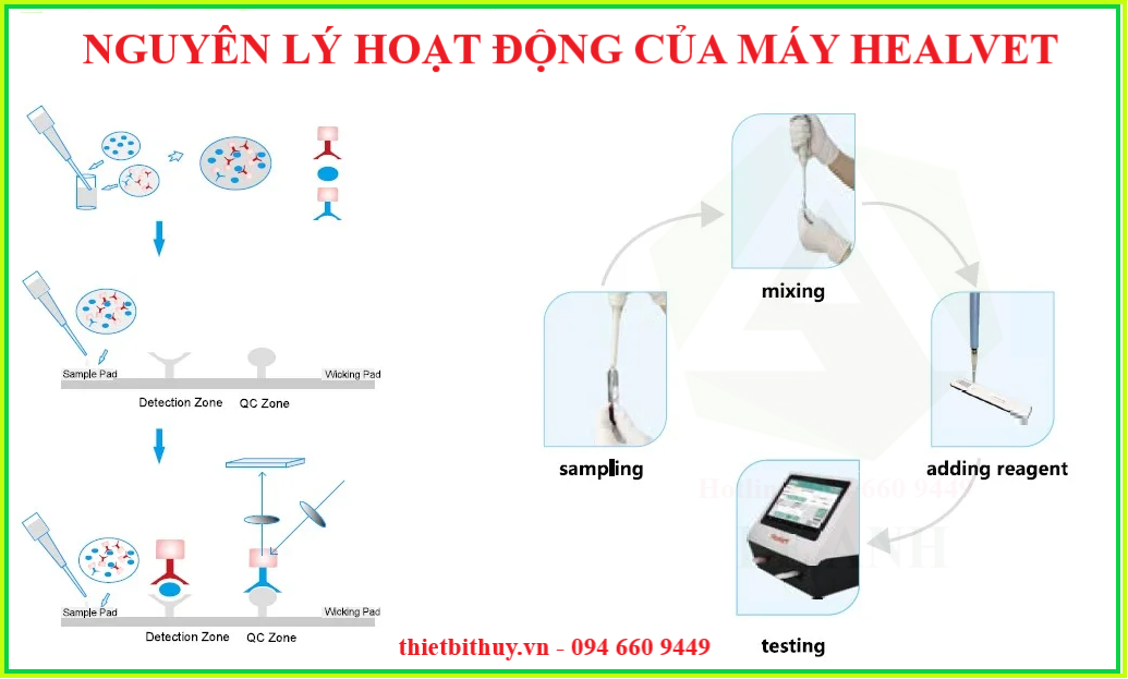 Nguyên tắc hoạt động của máy healvet - thietbithuy.vn